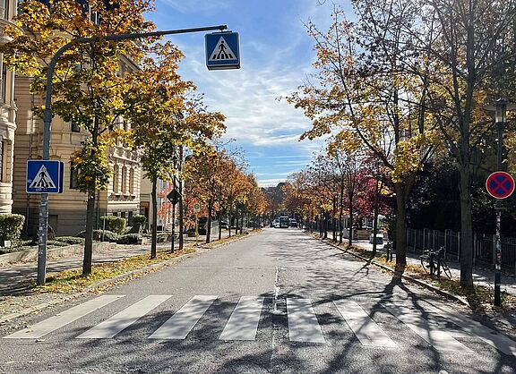 Herbstliche Straßenszene mit Zebrastreifen