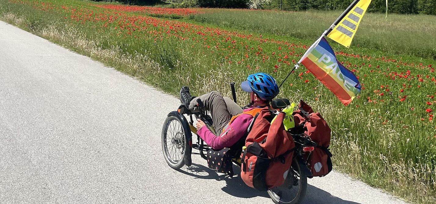 Mit dem Trike auf Reisen Eine Person auf einem liegenden Trike mit Friedensflagge und Gepäcktaschen fährt auf einer Landstraße entlang eines rot blühenden Mohnblumenfeldes mit Bergkulisse im Hintergrund unter blauem Himmel.